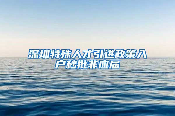 深圳特殊人才引进政策入户秒批非应届