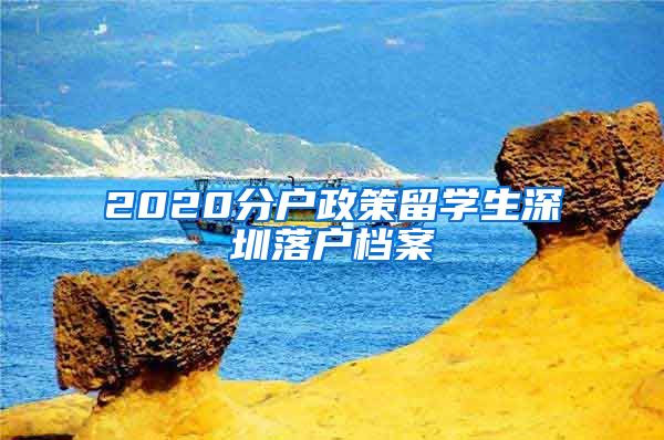2020分户政策留学生深圳落户档案