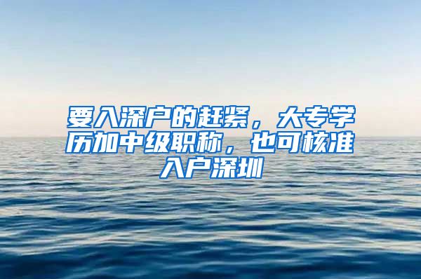 要入深户的赶紧，大专学历加中级职称，也可核准入户深圳