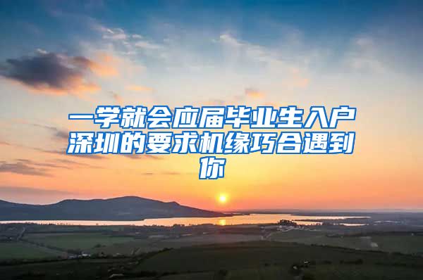 一学就会应届毕业生入户深圳的要求机缘巧合遇到你