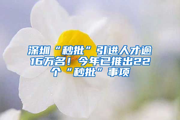 深圳“秒批”引进人才逾16万名！今年已推出22个“秒批”事项