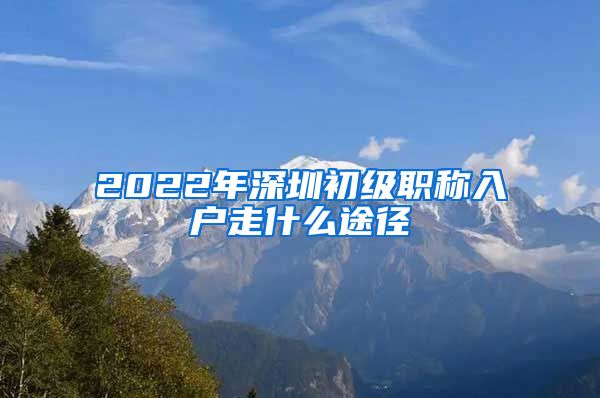 2022年深圳初级职称入户走什么途径