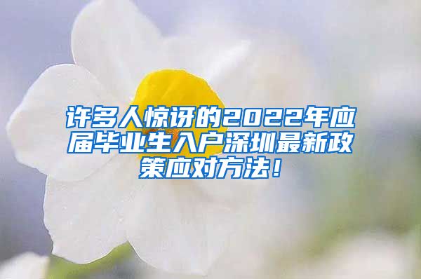 许多人惊讶的2022年应届毕业生入户深圳最新政策应对方法！