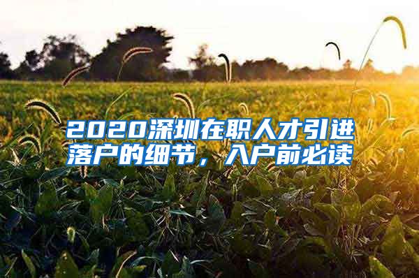 2020深圳在职人才引进落户的细节，入户前必读