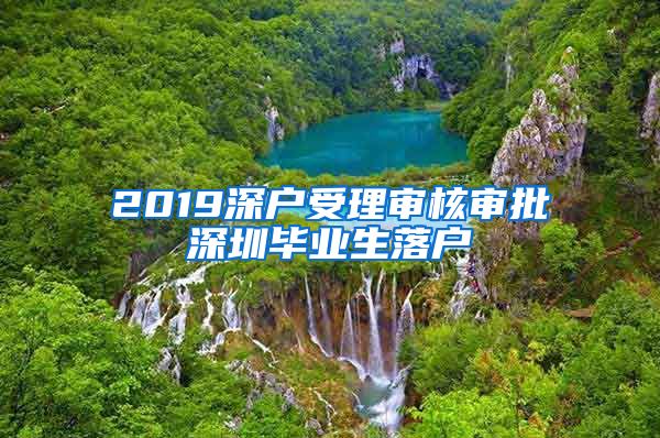 2019深户受理审核审批深圳毕业生落户