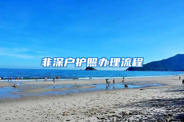 非深户护照办理流程