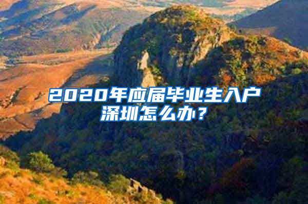 2020年应届毕业生入户深圳怎么办？