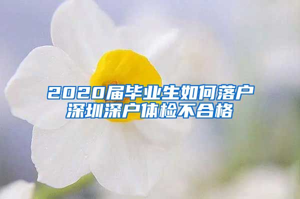 2020届毕业生如何落户深圳深户体检不合格