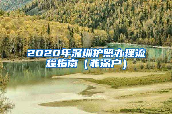 2020年深圳护照办理流程指南（非深户）