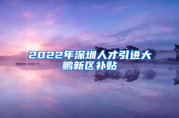 2022年深圳人才引进大鹏新区补贴