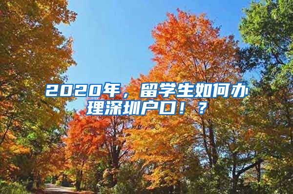 2020年，留学生如何办理深圳户口！？