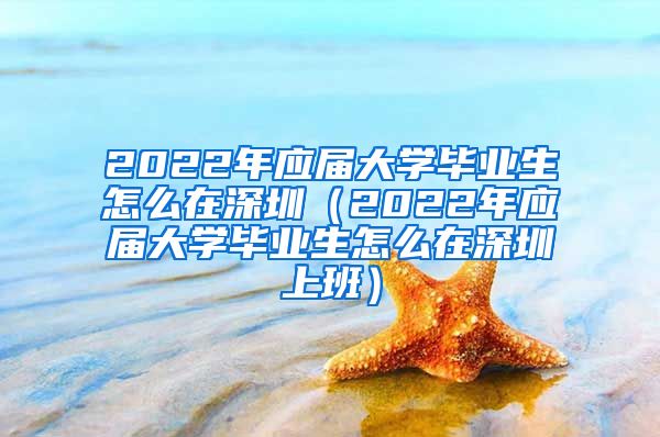 2022年应届大学毕业生怎么在深圳（2022年应届大学毕业生怎么在深圳上班）