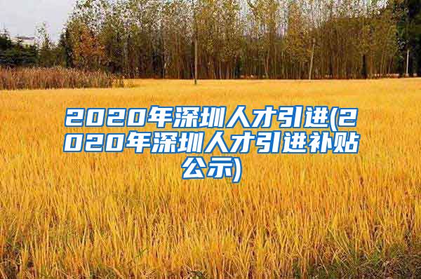 2020年深圳人才引进(2020年深圳人才引进补贴公示)