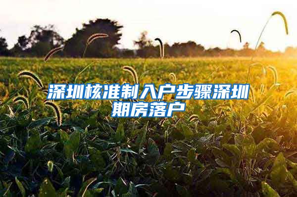 深圳核准制入户步骤深圳期房落户