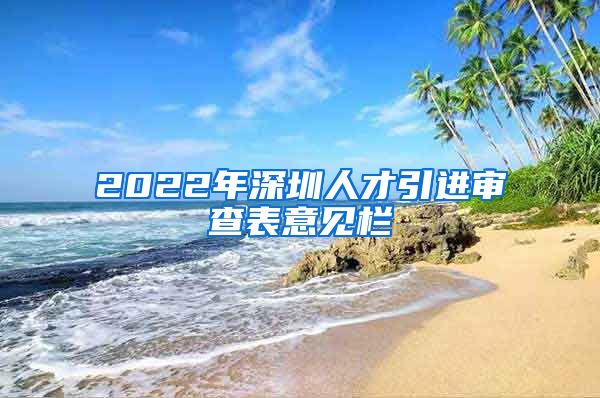 2022年深圳人才引进审查表意见栏