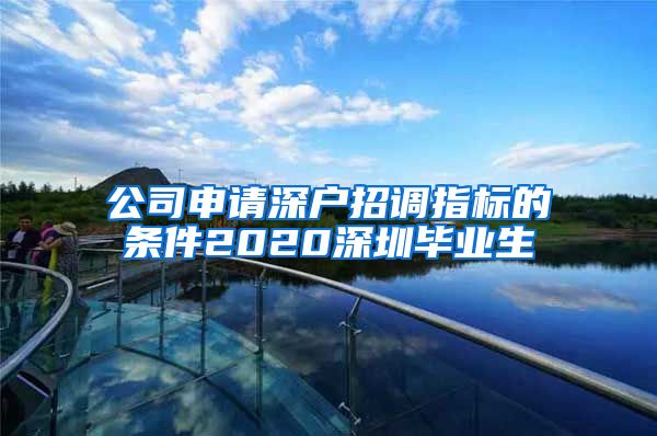 公司申请深户招调指标的条件2020深圳毕业生