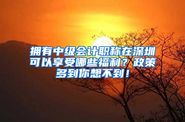 拥有中级会计职称在深圳可以享受哪些福利？政策多到你想不到！