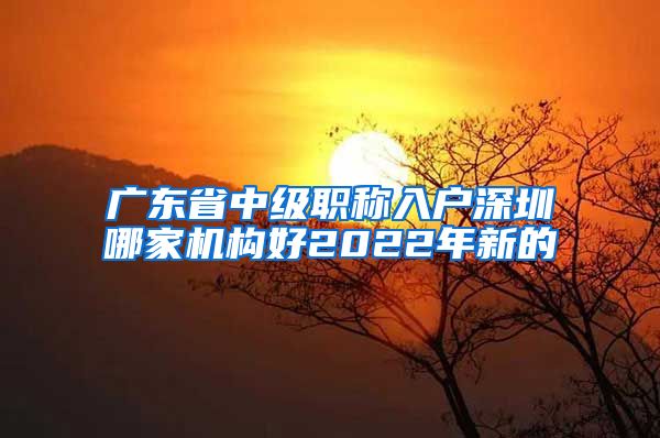 广东省中级职称入户深圳哪家机构好2022年新的