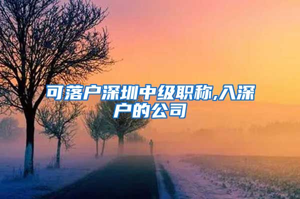 可落户深圳中级职称,入深户的公司