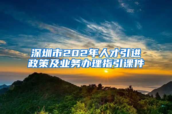 深圳市202年人才引进政策及业务办理指引课件