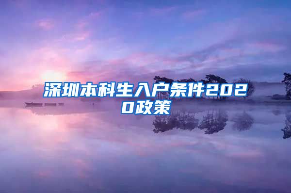 深圳本科生入户条件2020政策