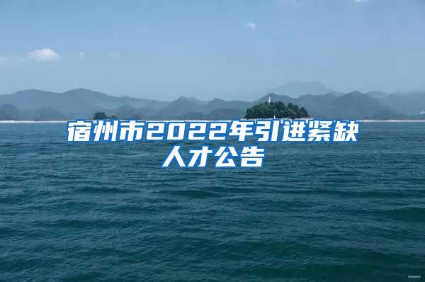 宿州市2022年引进紧缺人才公告