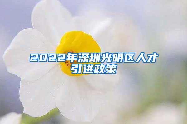 2022年深圳光明区人才引进政策