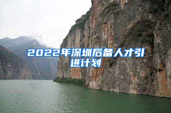 2022年深圳后备人才引进计划