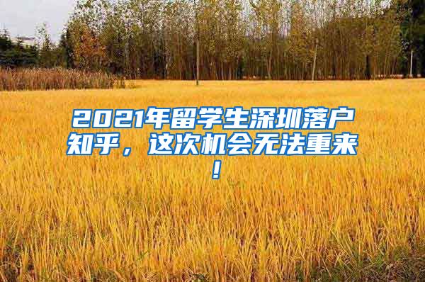 2021年留学生深圳落户知乎，这次机会无法重来！