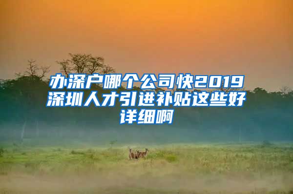 办深户哪个公司快2019深圳人才引进补贴这些好详细啊