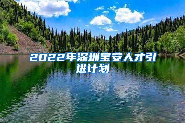2022年深圳宝安人才引进计划