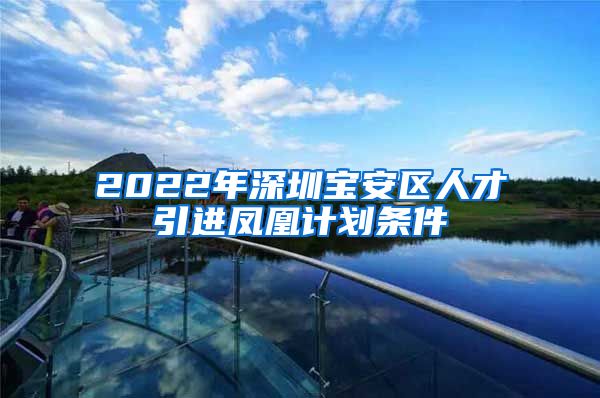 2022年深圳宝安区人才引进凤凰计划条件