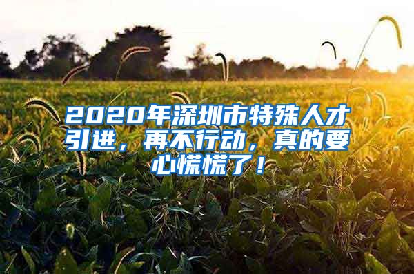 2020年深圳市特殊人才引进，再不行动，真的要心慌慌了！