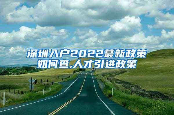 深圳入户2022蕞新政策如何查,人才引进政策