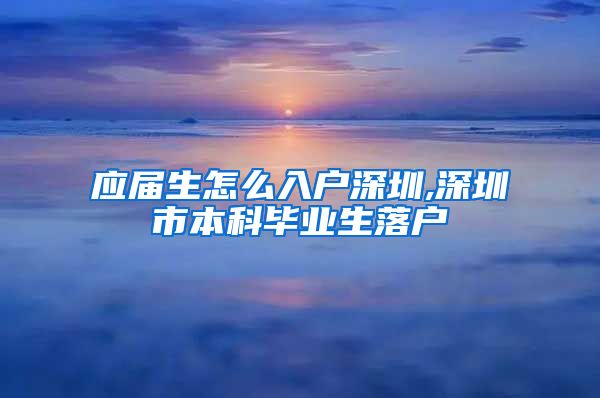 应届生怎么入户深圳,深圳市本科毕业生落户