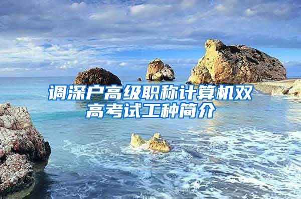 调深户高级职称计算机双高考试工种简介