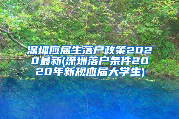 深圳应届生落户政策2020最新(深圳落户条件2020年新规应届大学生)