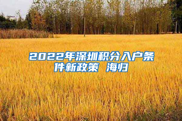 2022年深圳积分入户条件新政策 海归