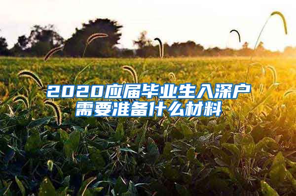 2020应届毕业生入深户需要准备什么材料