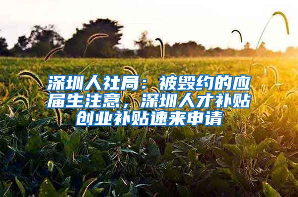 深圳人社局：被毁约的应届生注意，深圳人才补贴创业补贴速来申请