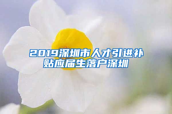 2019深圳市人才引进补贴应届生落户深圳