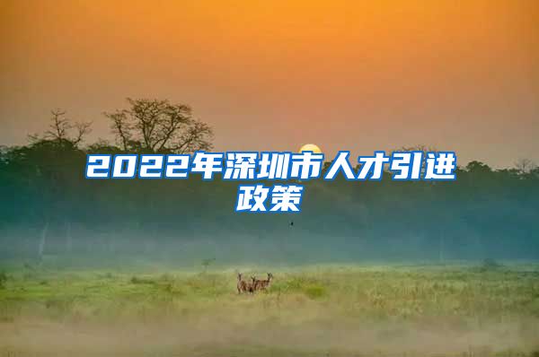 2022年深圳市人才引进政策