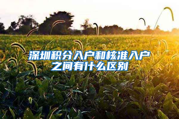 深圳积分入户和核准入户之间有什么区别