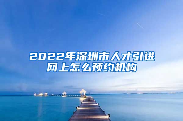 2022年深圳市人才引进网上怎么预约机构