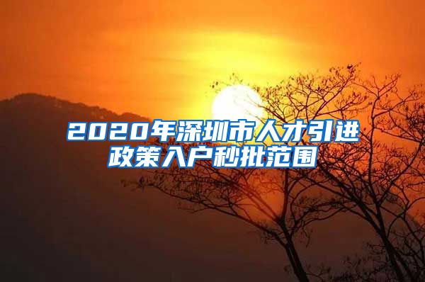 2020年深圳市人才引进政策入户秒批范围