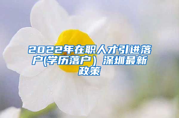 2022年在职人才引进落户(学历落户）深圳最新政策
