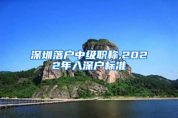 深圳落户中级职称,2022年入深户标准