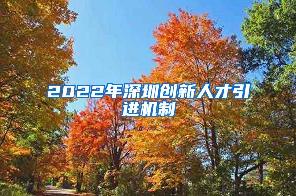 2022年深圳创新人才引进机制