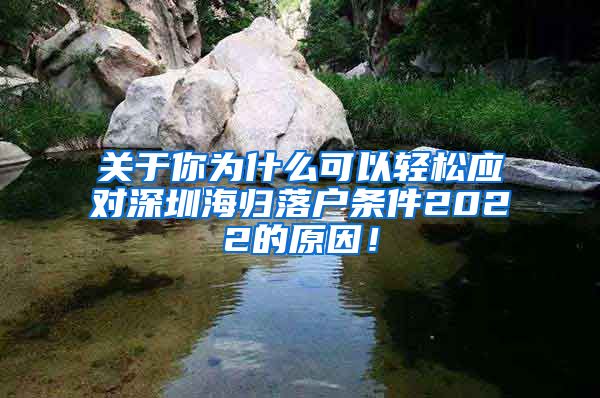 关于你为什么可以轻松应对深圳海归落户条件2022的原因！