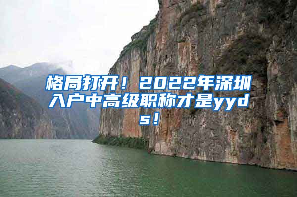 格局打开！2022年深圳入户中高级职称才是yyds！